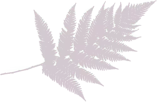 GREY LEAF
